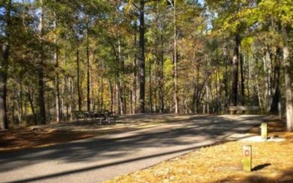 Kisatchie National Forest Visit Webster Parish Louisiana